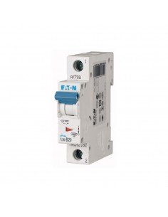PLSM-C20-MW